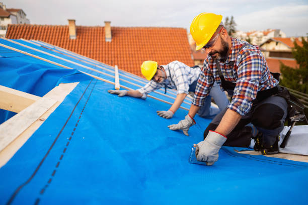 Best Roof Replacement Cost  in Montrose, VA