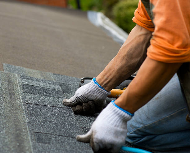 Best Roof Gutter Cleaning  in Montrose, VA