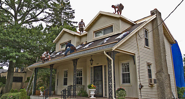 Best Storm Damage Roof Repair  in Montrose, VA