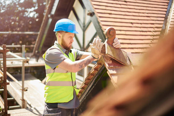 Best Affordable Roof Replacement  in Montrose, VA