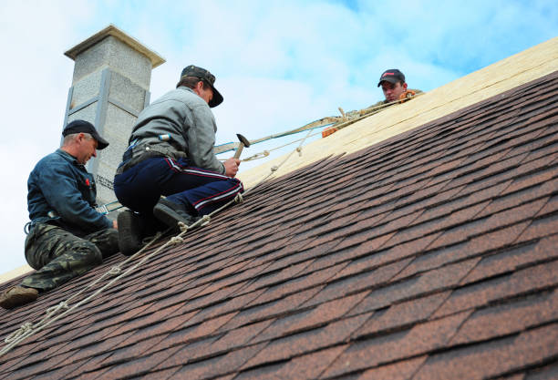 Best Shingle Roofing Installation  in Montrose, VA